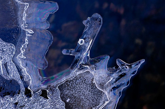 AD2_3622ice_2007.jpg