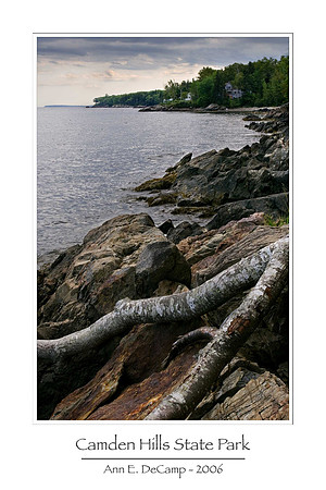 AD2_1392acadia-framed.jpg