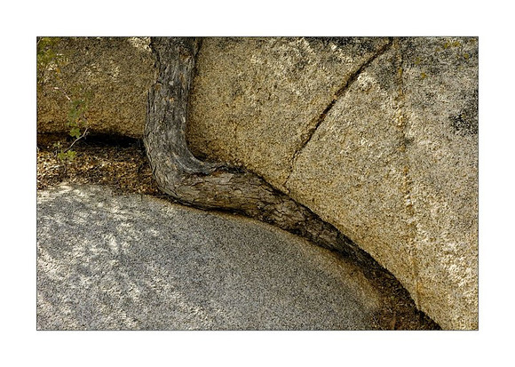 AD2_5121CA2007.jpg
