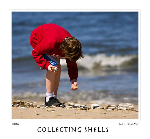 AED_4123_sandy_hook.jpg