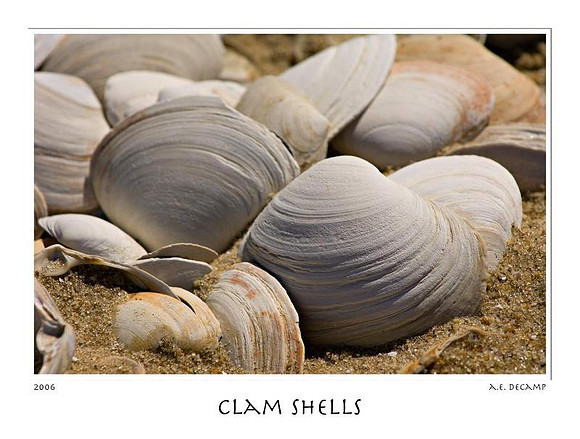 AED_4142_sandy_hook.jpg