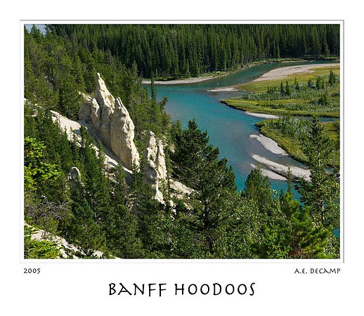DSC_5555banff.jpg