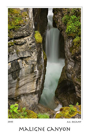 DSC_6600banff.jpg