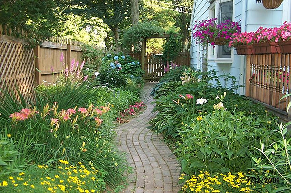 my yard