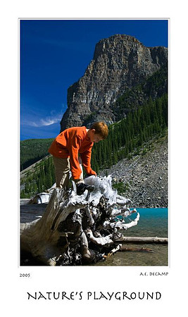 DSC_7237banff.jpg