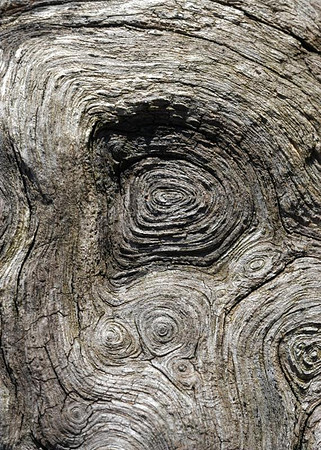 macro wood hacklebarney