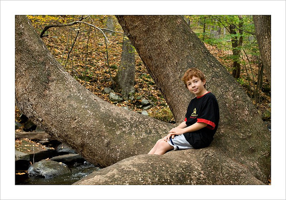 AD3_2534bushkill_falls.jpg