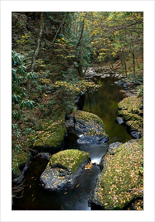 AD3_2612bushkill_falls.jpg