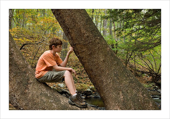 AD3_2538bushkill_falls.jpg
