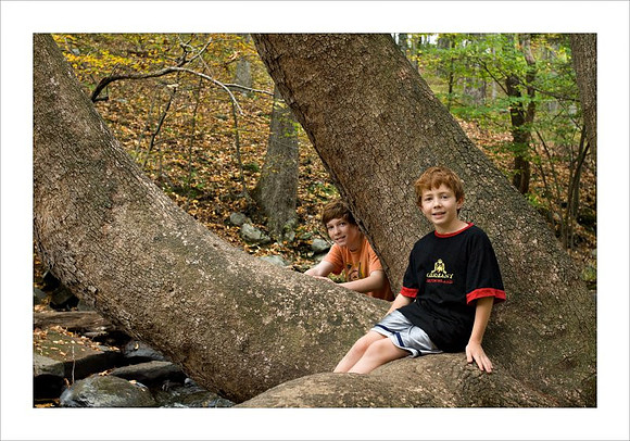 AD3_2535bushkill_falls.jpg