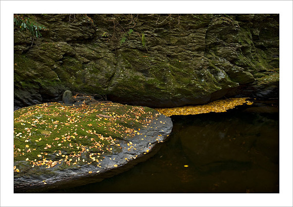 AD3_2598bushkill_falls.jpg