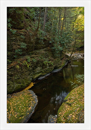 AD3_2608bushkill_falls.jpg