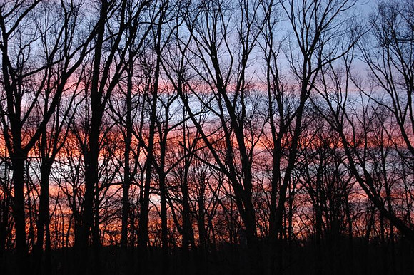march sunset watchung reservation
