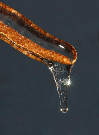 icy morning watchung 2