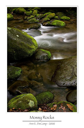 AED_6191smokies.jpg