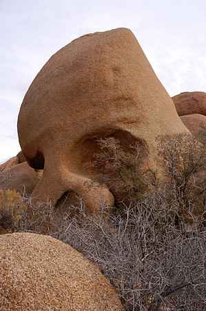 skull rock