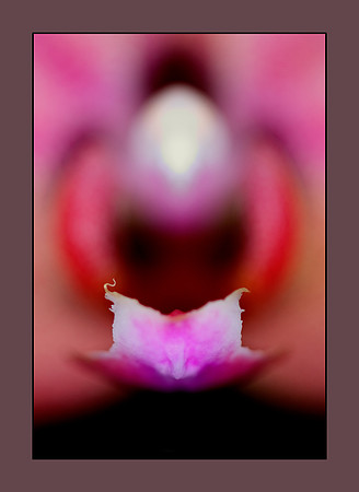 dof phal
