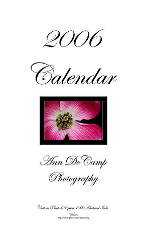 2006-Cover.jpg