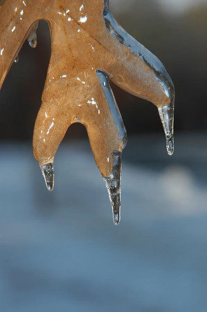 icy morning watchung 1