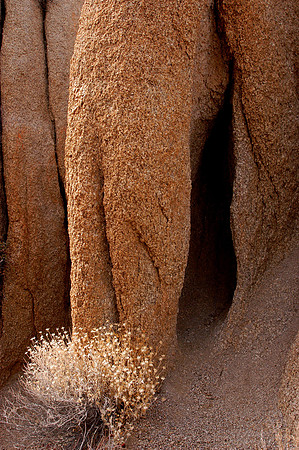 near skull rock