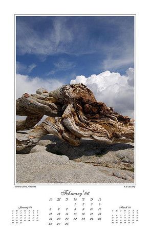13-x-19-Feb06.jpg
