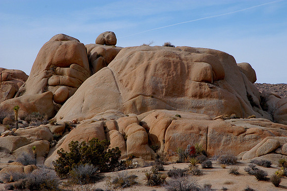 across from skull rock