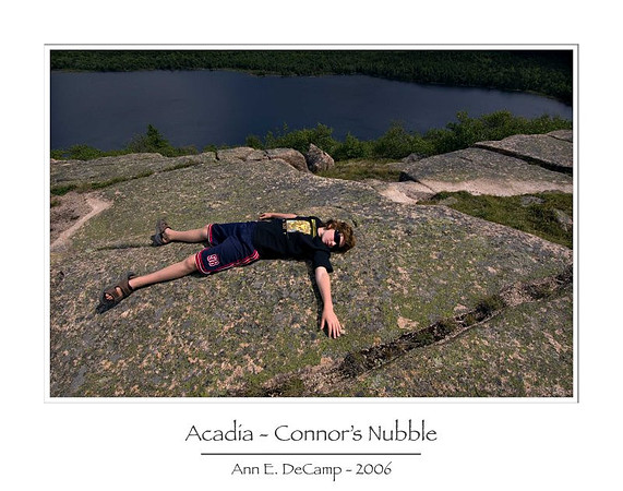 AD2_1087acadia-framed.jpg