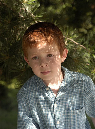 matthew in the pines