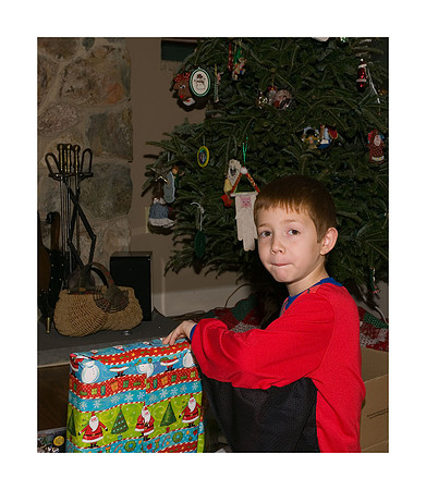 AED_1164christmas.jpg