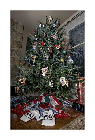 AD2_2787Christmas-2006.jpg