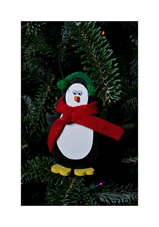 AD2_2790Christmas-2006.jpg