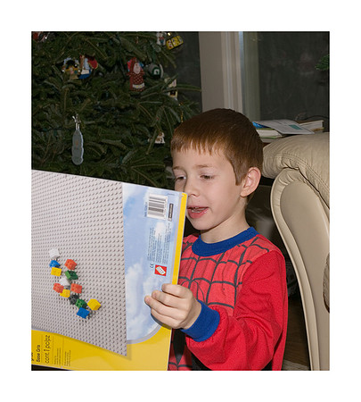 AED_1162christmas.jpg