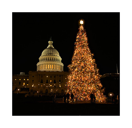 AED_1470Chistmas-MD.jpg