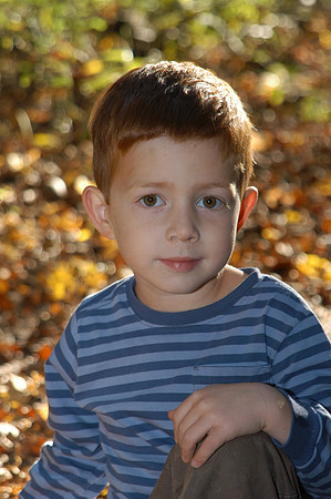 matthew sparkling leaves