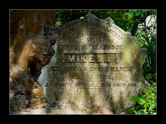 charleston gravestone