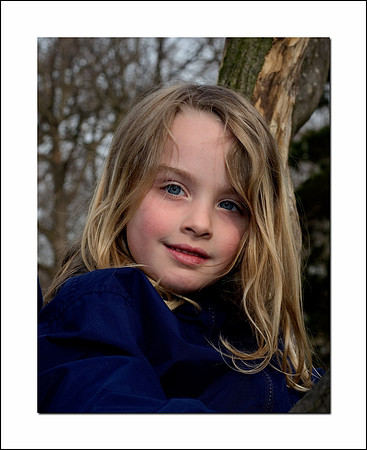 lily tree climbing