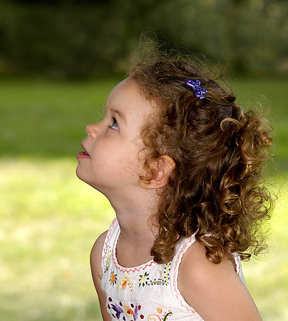 rachel profile