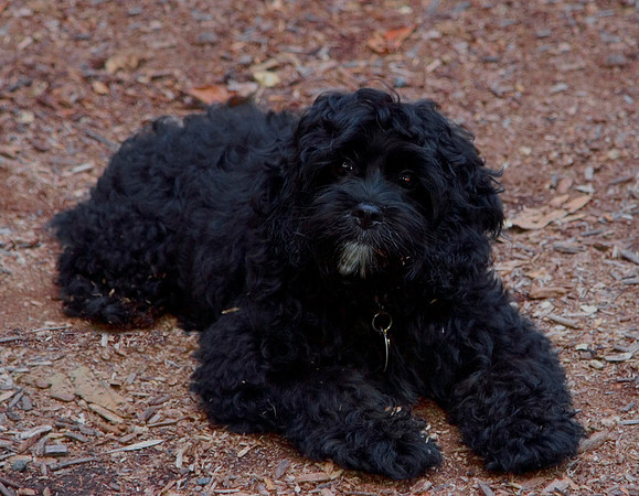 18 weeks old
