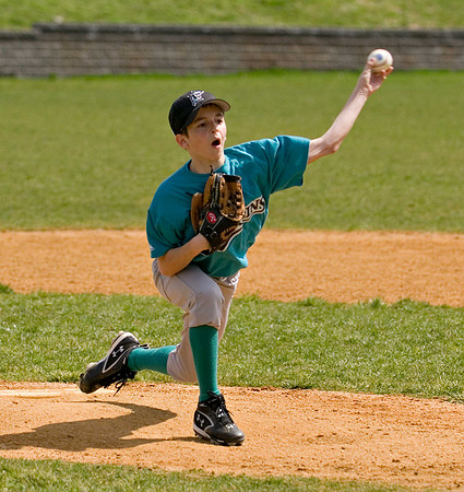 AD2_63162007_baseball.jpg
