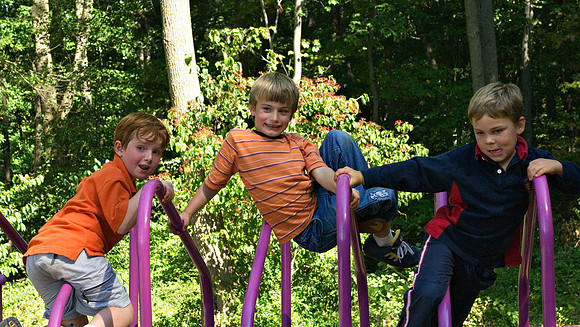 DSC_8430apple-picking.jpg