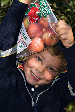 DSC_8265apple-picking.jpg