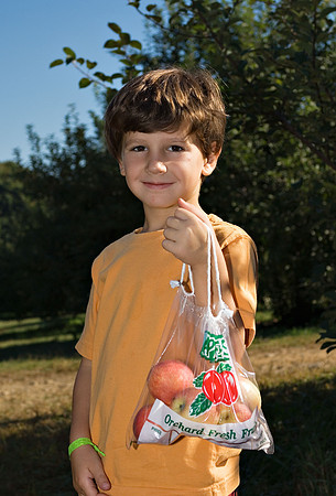 DSC_8269apple-picking.jpg