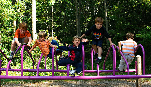 DSC_8431apple-picking.jpg