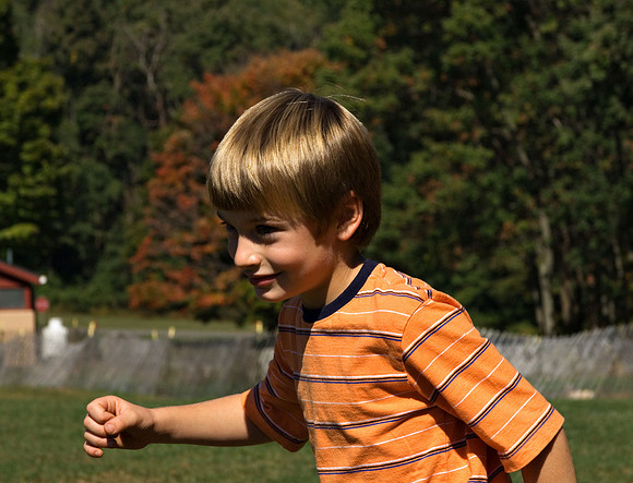 DSC_8336apple-picking.jpg