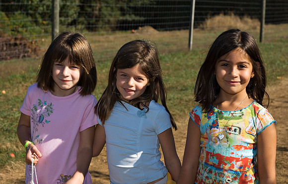 DSC_8276apple-picking.jpg