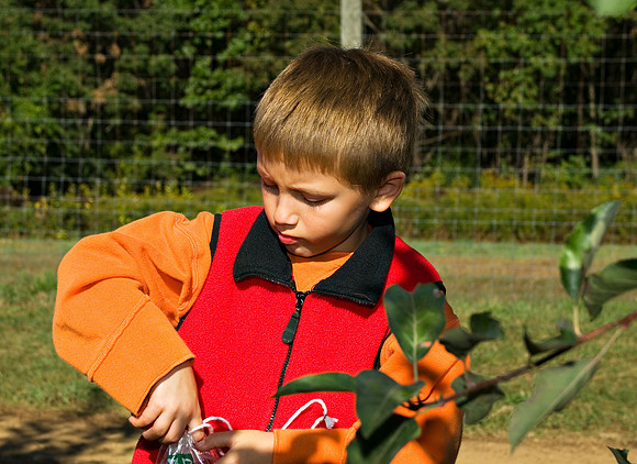 DSC_8271apple-picking.jpg