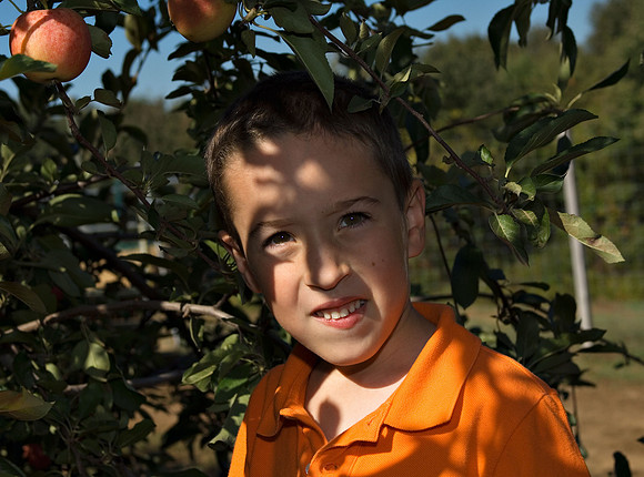 DSC_8258apple-picking.jpg