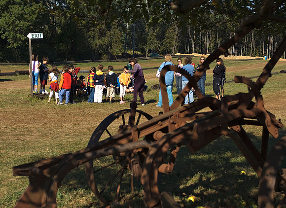 DSC_8232apple-picking.jpg
