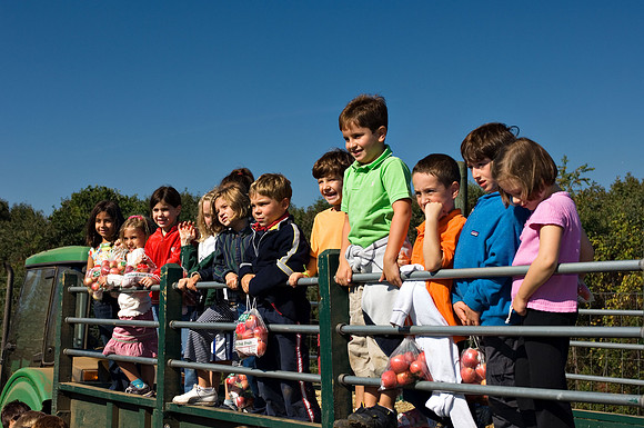 DSC_8292apple-picking.jpg