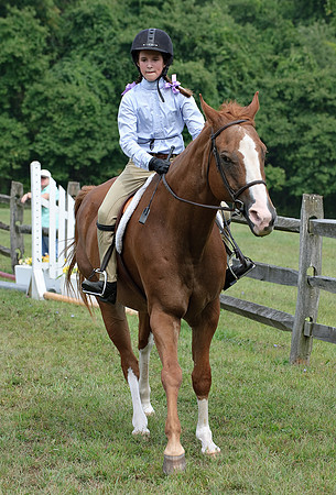 AD0_9774horse_show.jpg